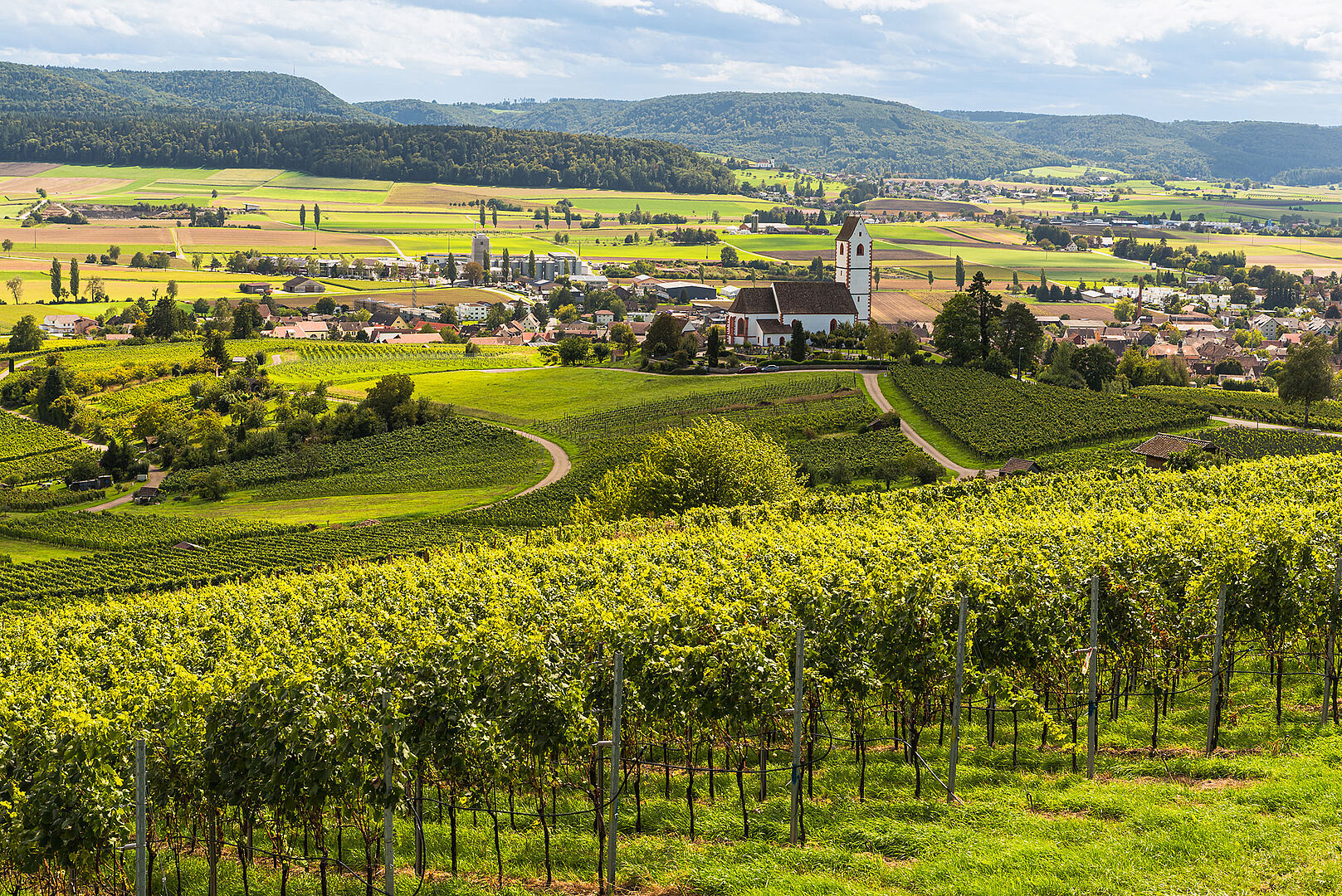 Landschaftsansicht von Hallau als Standort der psychosomatischen Klinik.