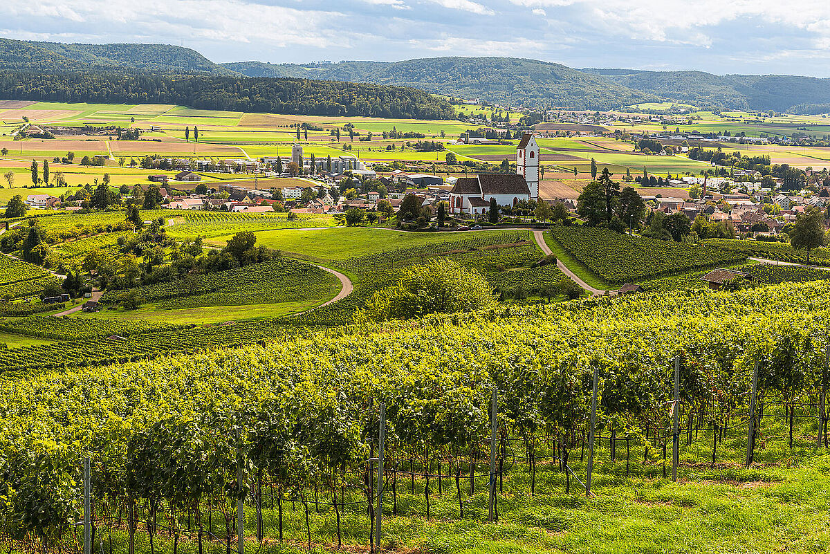 Landschaftsansicht von Hallau als Standort der psychosomatischen Klinik.